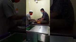 SUNAT LASER TAKUT atau GELI