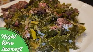 My 6 variety leafy green dinner harvest | Vlogmas Day 23 #harvest #garden #growyourown 