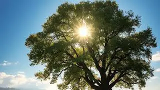 Underneath the Whispering Tree (Bajo el &Aacute;rbol Susurrante) | Folk | FREE Music Download