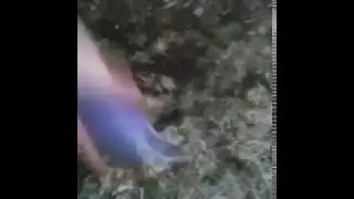The Amazing Smoke Balloon!