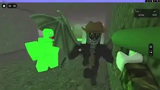 My Private Server is Begin to Defeat those NPCs