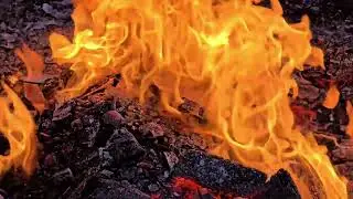 Firesound Relax #relaxing #nature #sound #fire #foryou 