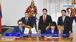 Largest national entities pledge to plant over 600 million trees