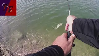 Testing new gear at Upper Government Wash