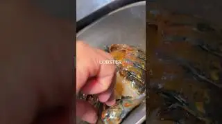Lobster 🦞 #art #artfood #food #buono #la #meat #cookathome #michelebrogichef #lobster