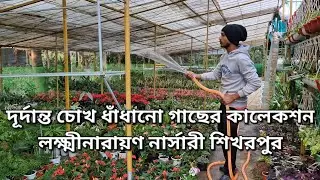 লক্ষ্মীনারায়ণ নার্সারী শিখরপুর!নতুন গাছের দুর্দান্ত কালেকশন!Nursery visit at Sikharpur!