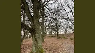 P&aring; v&auml;g