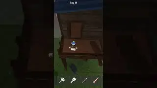 alpha wolf cute scene🤍