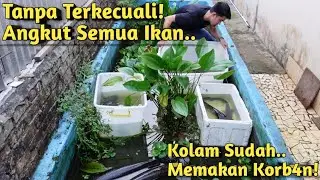 SELAMAT TINGGAL KOLAM IKAN MONSTER! SEMUA PENGHUNI HARUS PINDAH