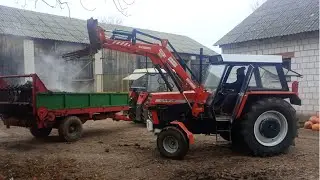 Ursus 385 i Zetor 5211 - Wozimy Obornik na ziemniaki 2025