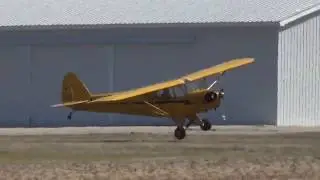 Jsd-cub1