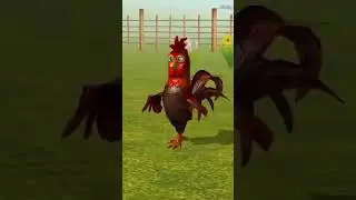 Курица 🐔🐣 смешное 🤣 танцевальное 🩰🐥 видео 📸//#usa #funny #catfunny #roblox #funnycatvideos