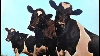 Pink Floyd - Atom Heart Mother Short Mix