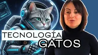 Qu&eacute; comprar para mejorar la vida de tu gato: Tecnolog&iacute;a 2026