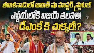 Amit Shah Master Strategy in Tamil Nadu: TVK Vijay Into NDA? | DMK | BJP | News Pocket