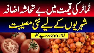 Tomato prices increase in Karachi and different parts of Pakistan | Latest news
