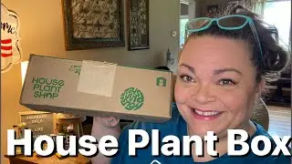 House Plant Box - FREE SHIPPING! June 2023
