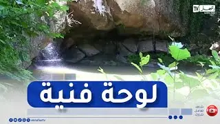 جيجل : شلال غدير الكحلة بأخراط..وجهة سياحية و مناظر تسحر الناظرين