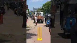 Hit the wicket in Sri Lanka #cricket #cricketlover #srilanka #shortvideos