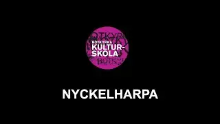 V&aring;ra olika instrument; Nyckelharpa - ett str&aring;kinstrument