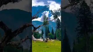 kashmir right now 😍