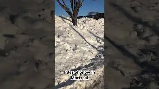 Piles of Snow in Montreal