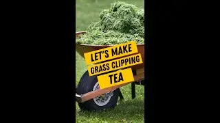 Let&rsquo;s make grass clipping tea! A natural fertilizer for your plants that will provide nutrients!