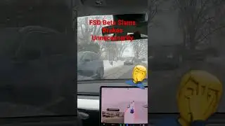 FSD Beta Slams Brakes #tesla #fsd