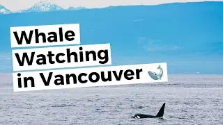 VANCOUVER Whale Watching | Granville Island