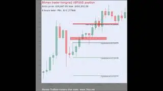 Multiple Bitmex Trollbox trades Visualised Part 27