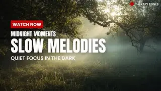 🔴Peaceful Late-Night Music with Slow-Motion Tones