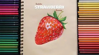 Strawberry🍓🍓 Realistic drawing II Realistic fruit drawing using color pencil
