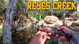 HUGE Trout, Tiny Creek | Reyes Creek Campground, CA | Catch and Release