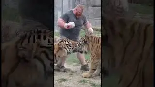 Man vs Tigers: when courage meets nature&rsquo;s fury, only instinct decides who survives. 🌍