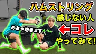 【ハムストリング】反り腰や脚の歪み、腰痛などの不調の改善に！ハムストリングコンディショニングを理学療法士がご紹介！