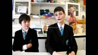 Introduction to biology buddies