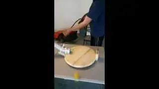 Rowan's Science Project - the Coriolis Effect