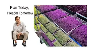 Escape the Rat Race with Long-Term Vision in Microgreen Farming