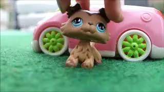 clip petshop [ bye bye ]
