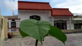 69, 96, 696 and 969 ~ देखें, इन नंबर्स का मतलब आपके लिए क्या है।