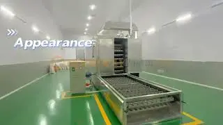 Goodway instant starch vermicelli drying machine instant starch noodle dryer machine