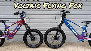 Voltaic Flying Fox 20