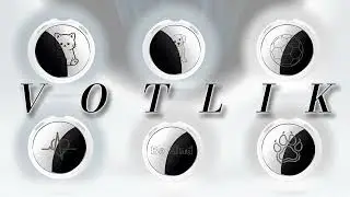 Votlik Custom  Air Tracker Tag#votlikgiveaway @airtag @Apple @VotlikOfficial