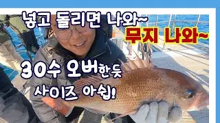느면 나와~너무 나오는 여서도 참돔, 이럴때 출조해야지요. 리트리브 속도,타이컬러는?