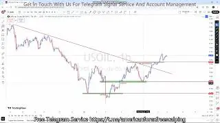 USOIL 12 TO 16 MAY 2025 American Weekly Technical Fundamental Forex Forecast Free t.me Signals