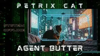 Cyberpunk Cat Ambience 🌧️ Rainy Night Lo-fi for Focus, Coding & Sleep [1 Hour Loop]