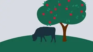 Food Forensics from Farm to Fork