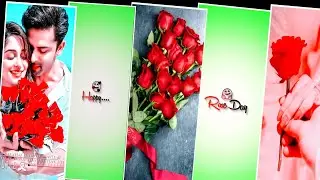 Coming Soon Rose Day Status | 07 February Status | Happy Rose Day Status | Rose Day WhatsApp Status