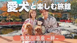 【Vlog】2度目の宿泊！ペットと泊まれる素敵すぎる旅館へ/紅葉時期【栃木県日光市鬼怒川】
