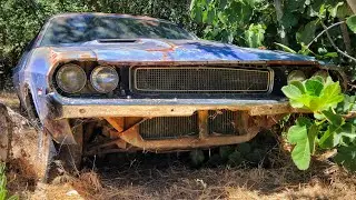 ABANDONED '70 Dodge Challenger FOUND After 25 Years!